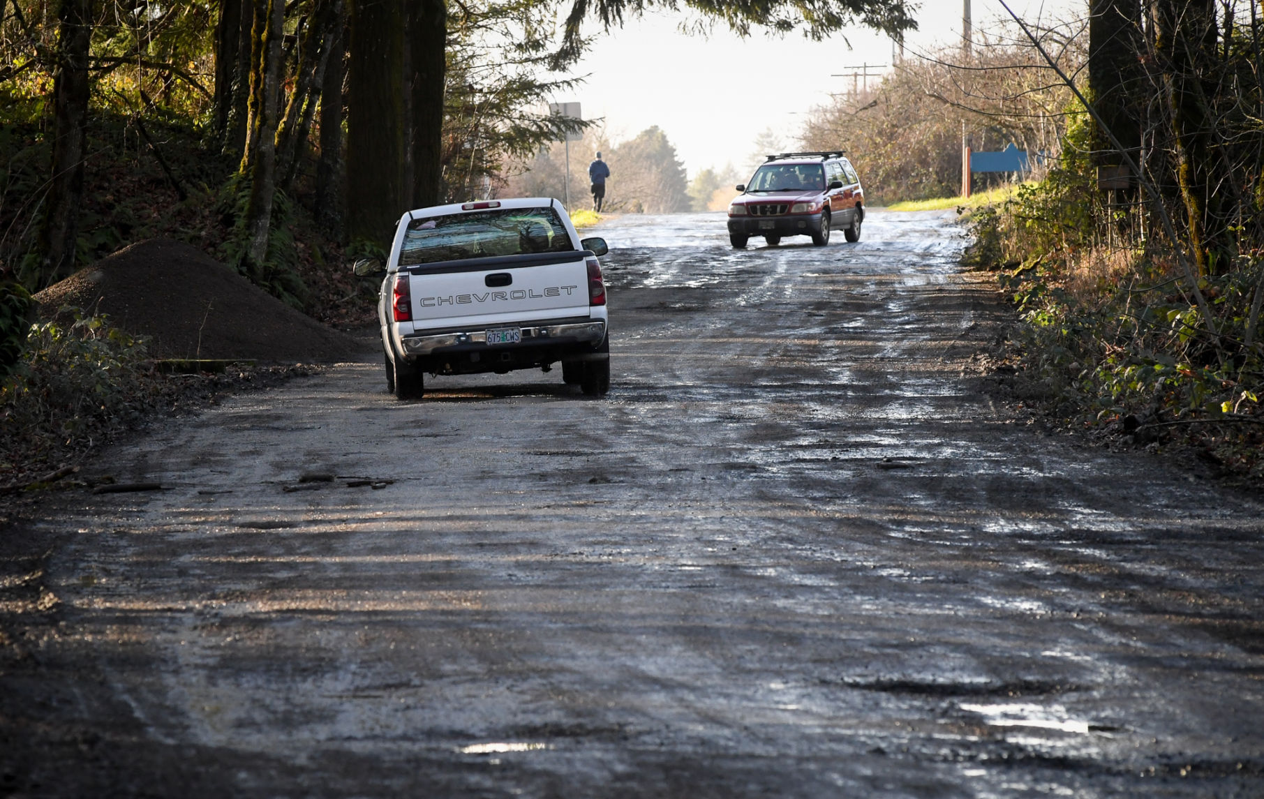 Willamette Park potholes